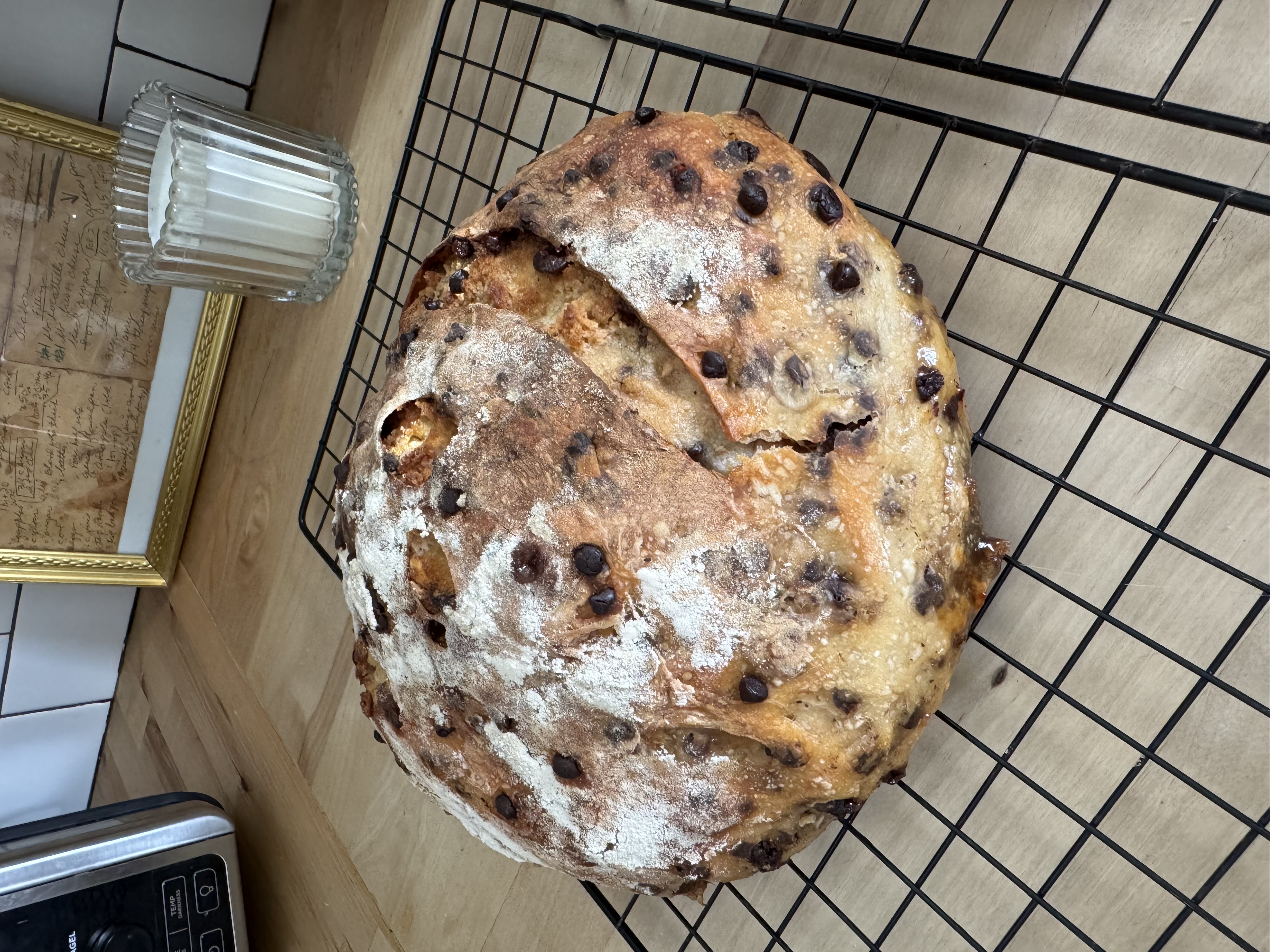 Chocolate Chip